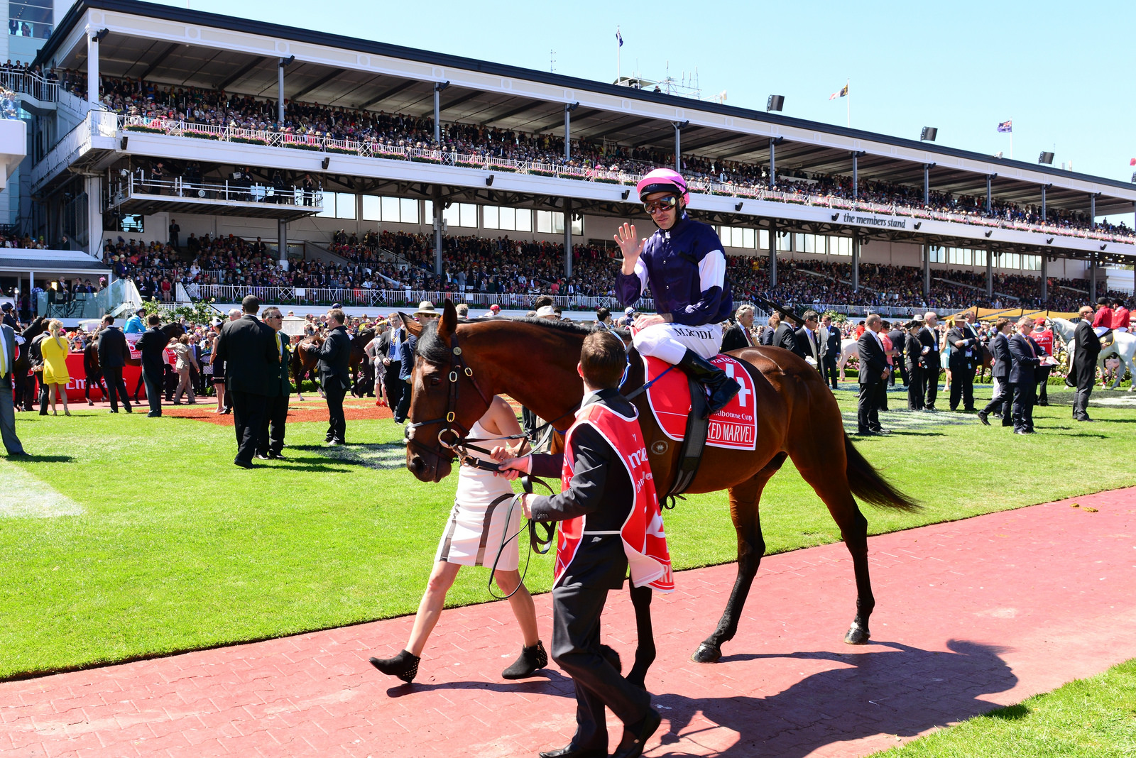 メルボルンカップ予想16 オッズが崩壊 高配当獲得のビッグチャンス 競馬ヘッドライン