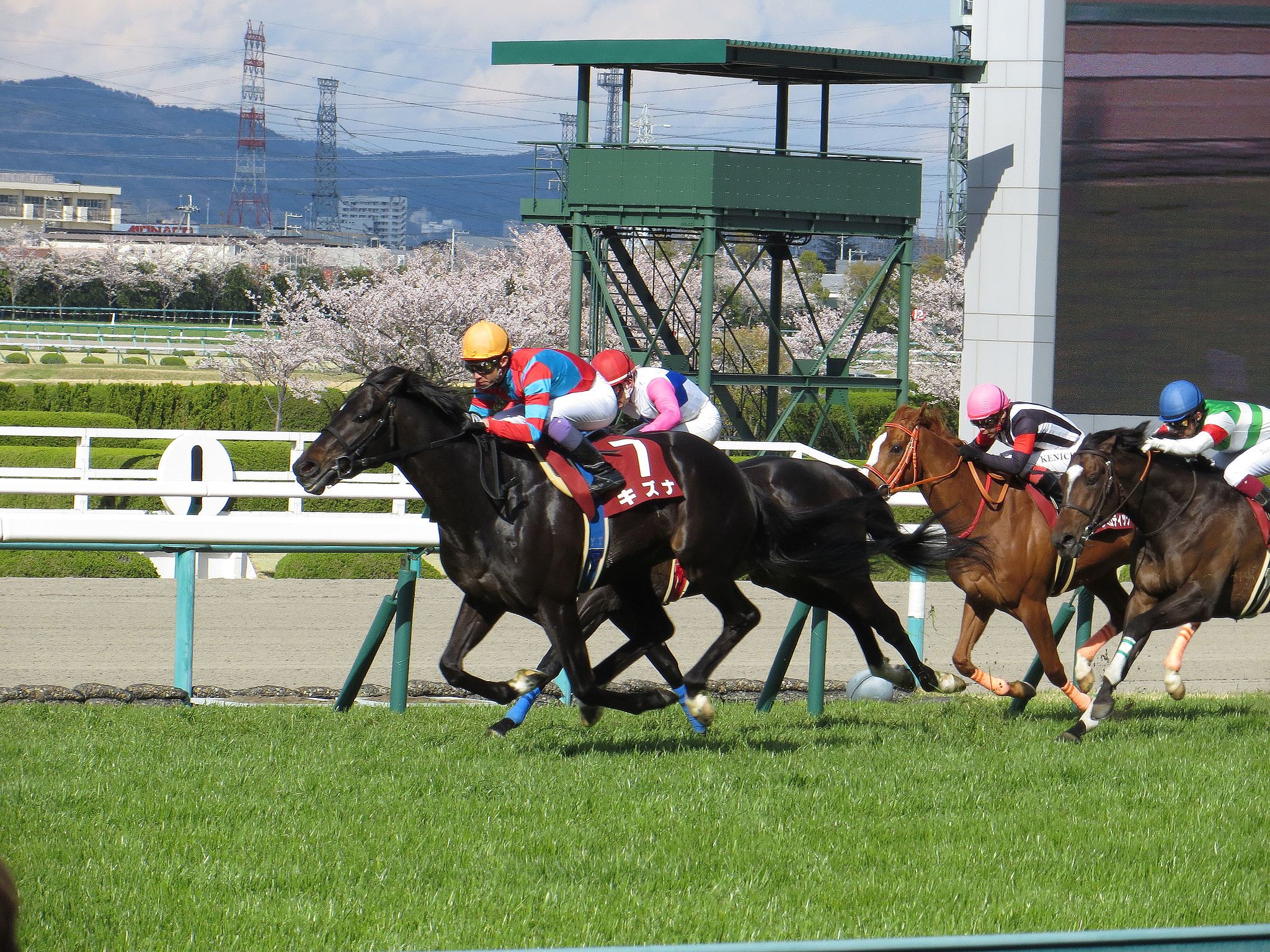 新G1大阪杯を芝1800mにしてはどうか？ 競馬ヘッドライン