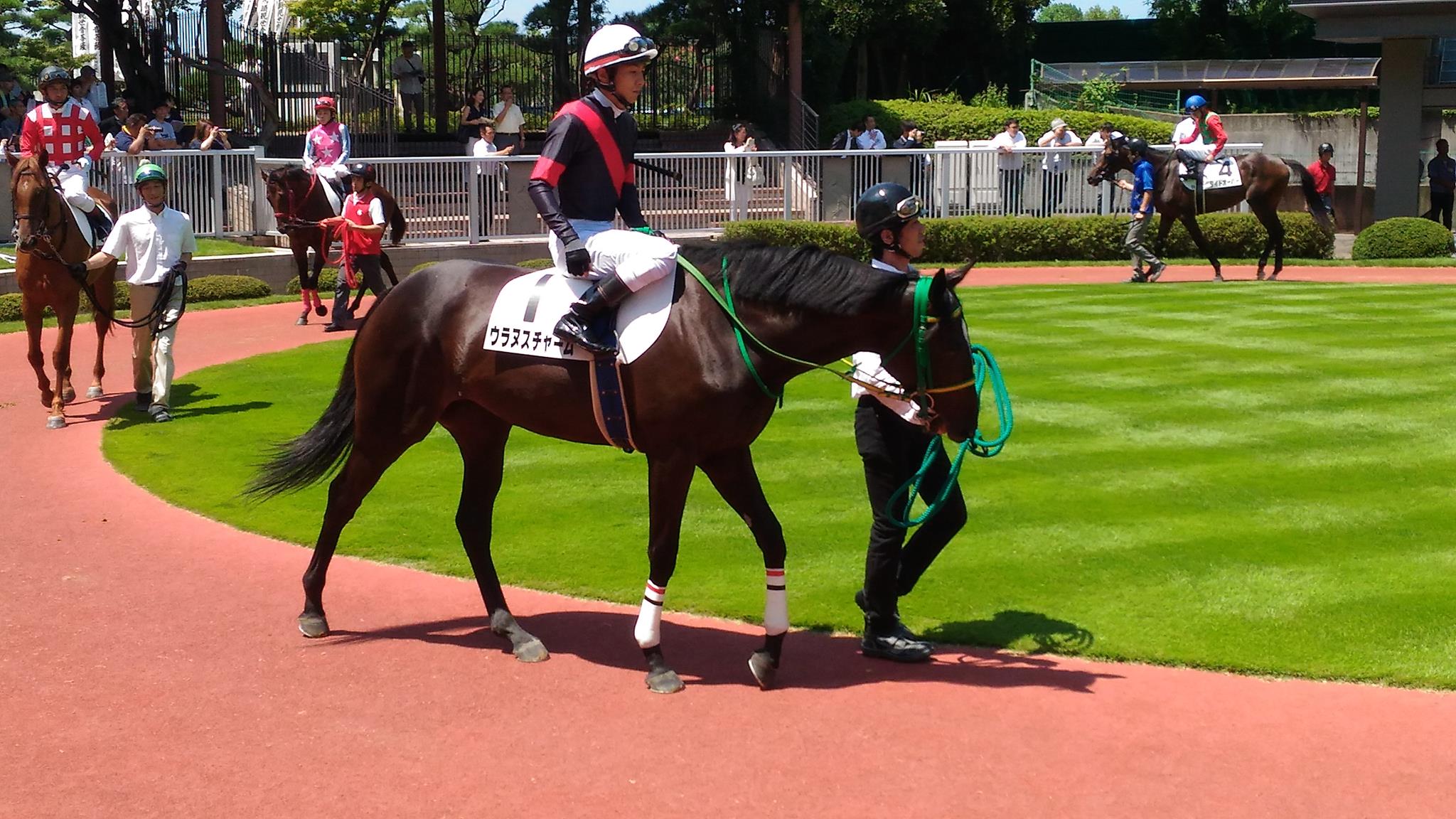 エリザベス女王杯19予想 プラス要素多いウラヌスチャーム G1初挑戦でも勝機あり 競馬ヘッドライン