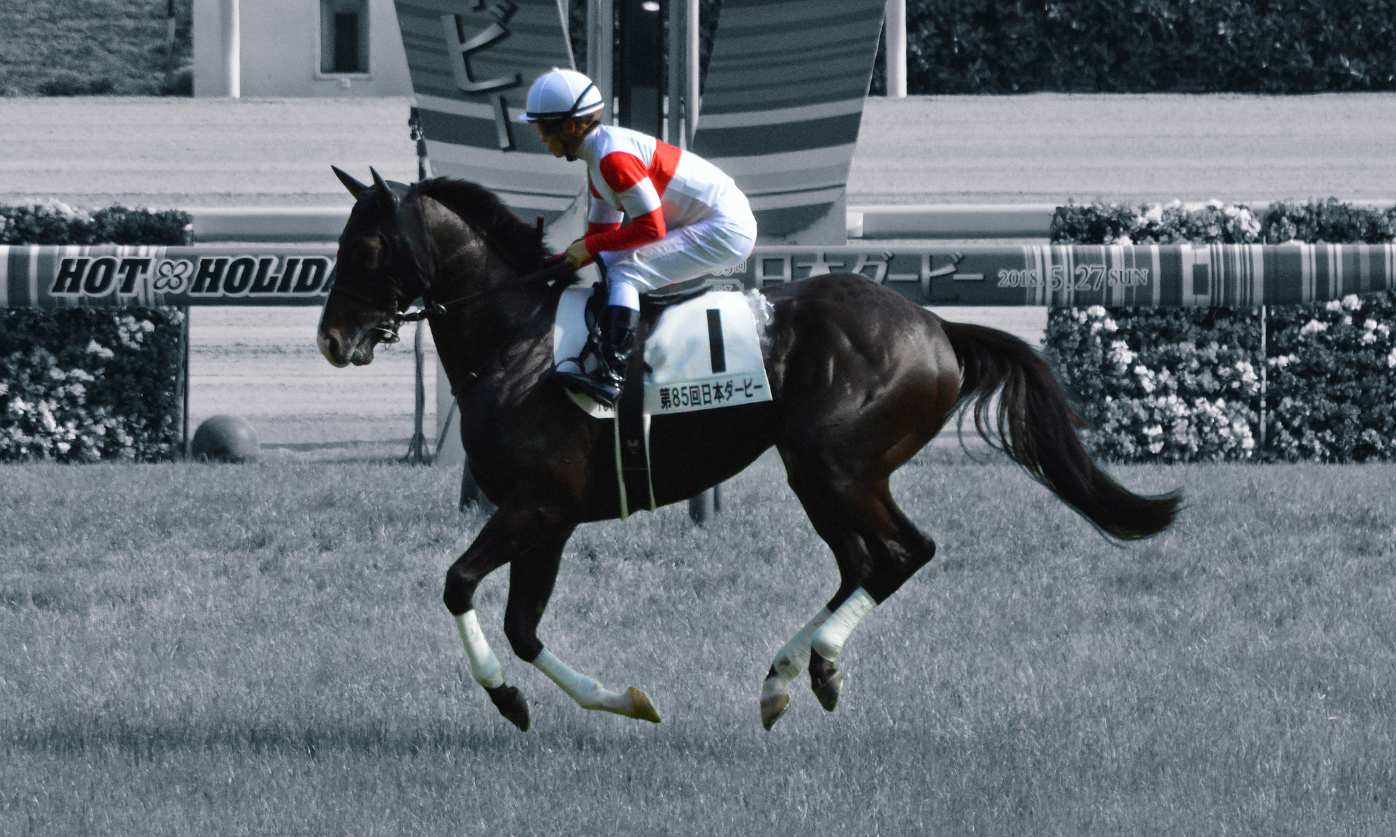 安田記念2019予想 ディープインパクト最有力後継馬誕生なるか 競馬ヘッドライン