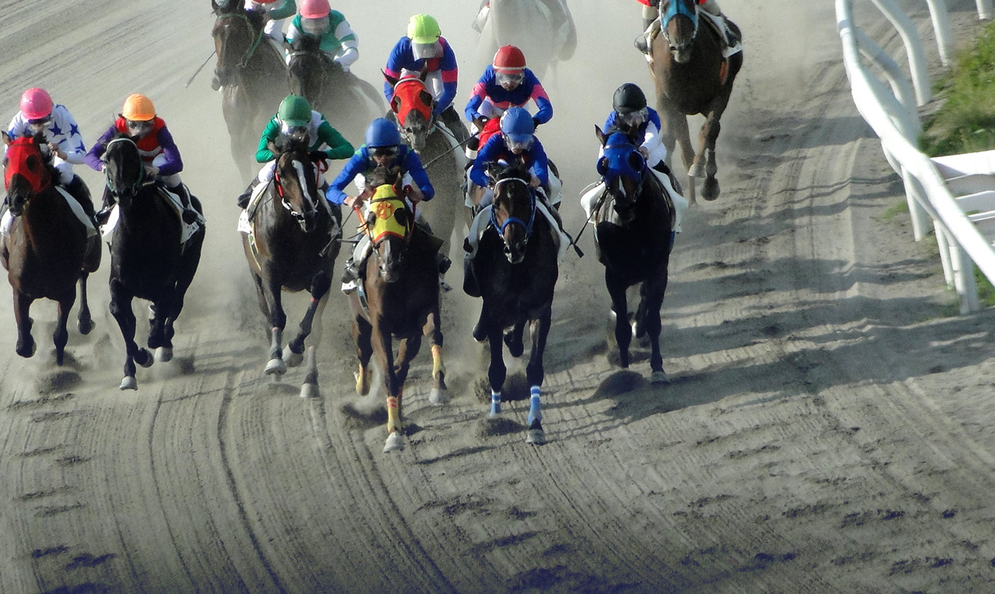 カペラ ステークス 2019