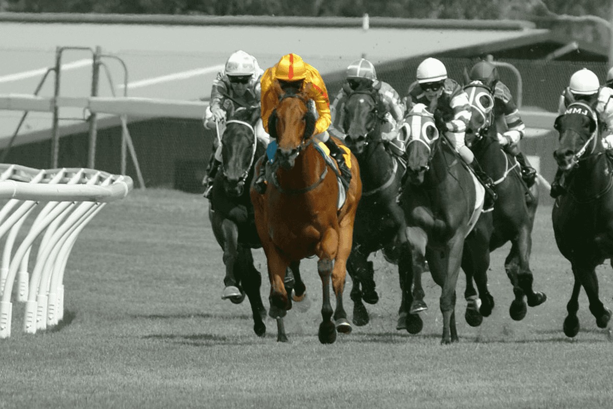 JRA京成杯（2022）は“先行力”と“持続力”を併せ持つアノ馬に注目 競馬ヘッドライン