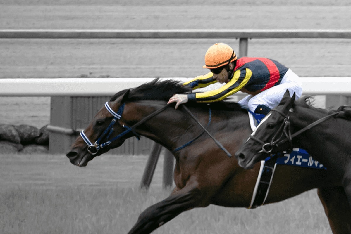 Jraå®å¡è¨å¿µ ãã£ã¨ã¼ã«ãã³åé¿ å¤å½é¦¬2é ­ã¯æ¥æ¥è¾é ç«¶é¦¬ãããã©ã¤ã³ jraå®å¡è¨å¿µ ãã£ã¨ã¼ã«ãã³åé¿ å¤å½é¦¬2é ­ã¯æ¥æ¥è¾é ç«¶é¦¬ãããã©ã¤ã³