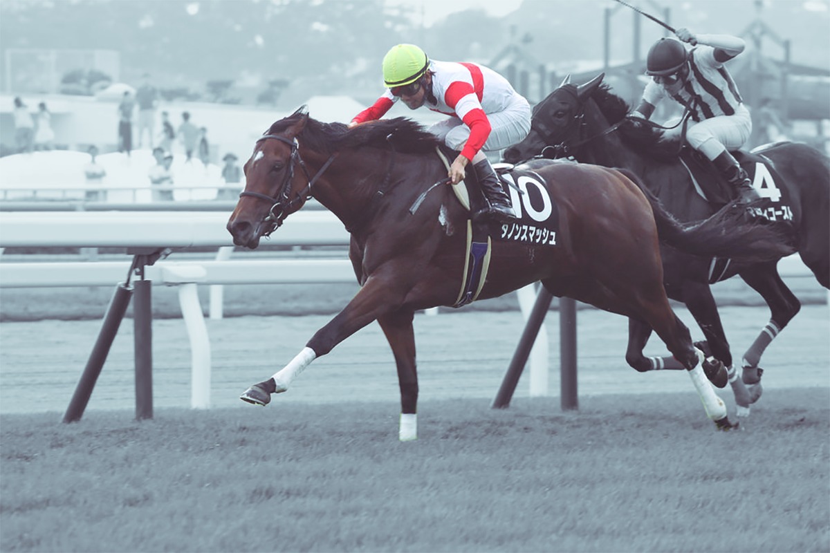 お取り寄せ 1400円です ダノンスマッシュ 競走馬色紙イラスト Jra競馬 その他 Alrc Asia